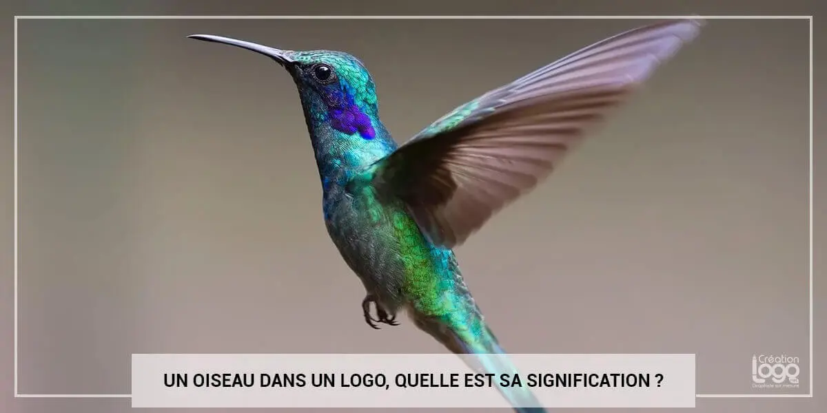 Logo La Poste : décryptage de son histoire et son oiseau symbolique